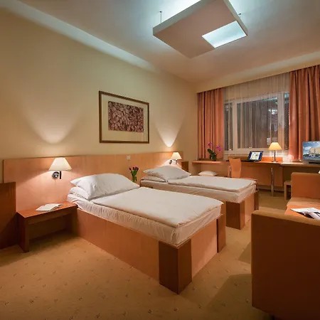 Grand Litava 4*