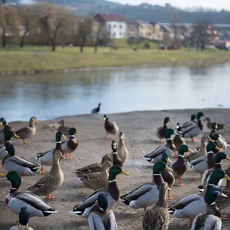 فندق Grand Litava