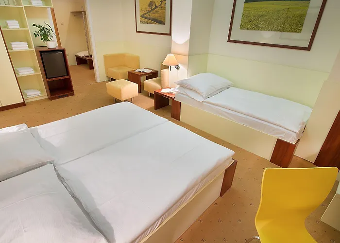 Hotel Grand Litava Beroun (Central Bohemian)